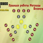 Какие бывают матрицы?